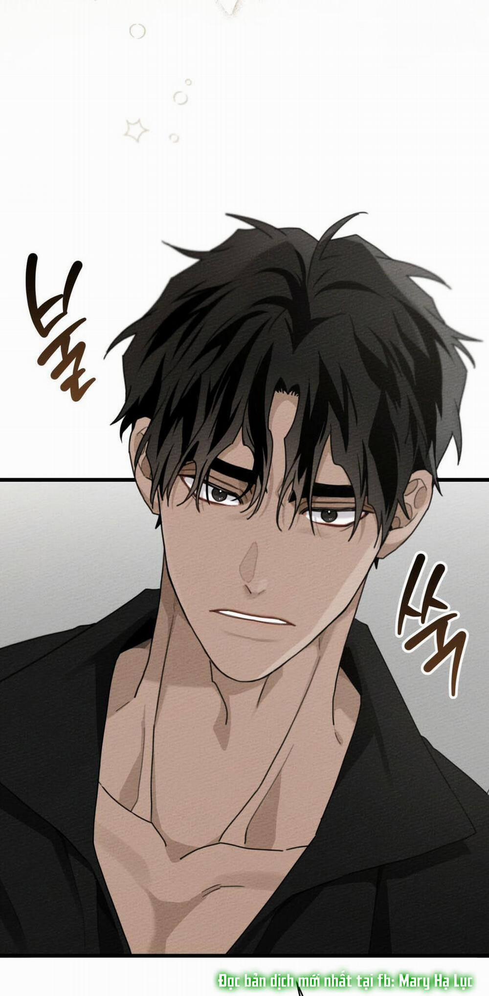 Dưới Bóng Cây Sồi 49.2 trang 1