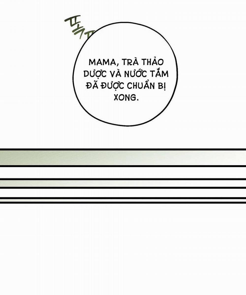 Dưới Bóng Cây Sồi 49.2 trang 16