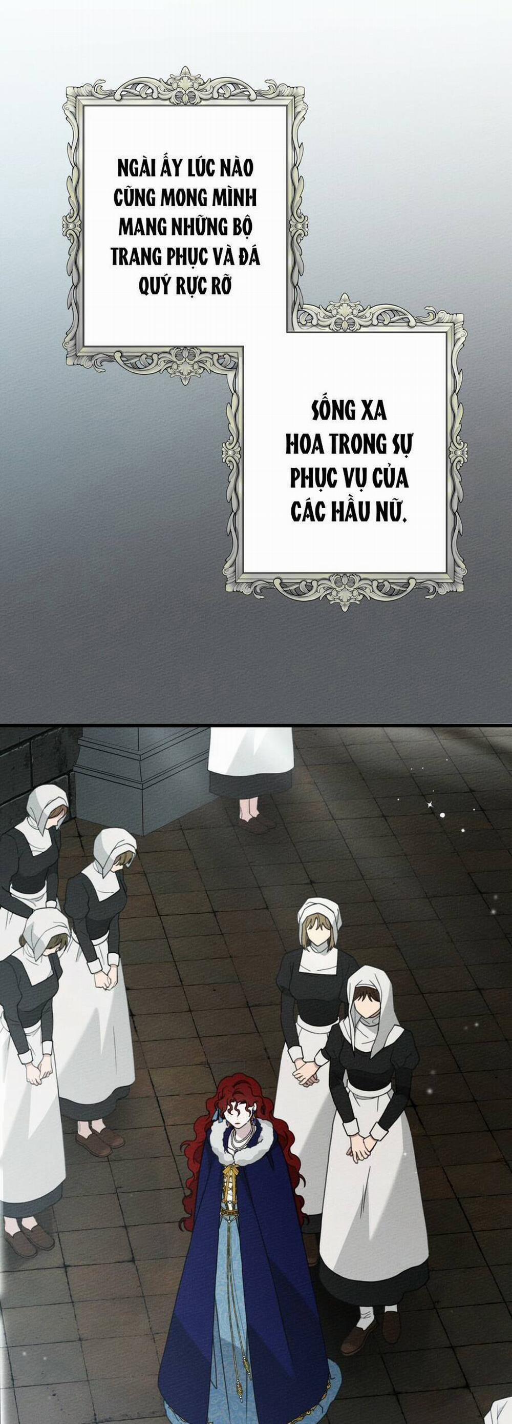 Dưới Bóng Cây Sồi 51.1 trang 45