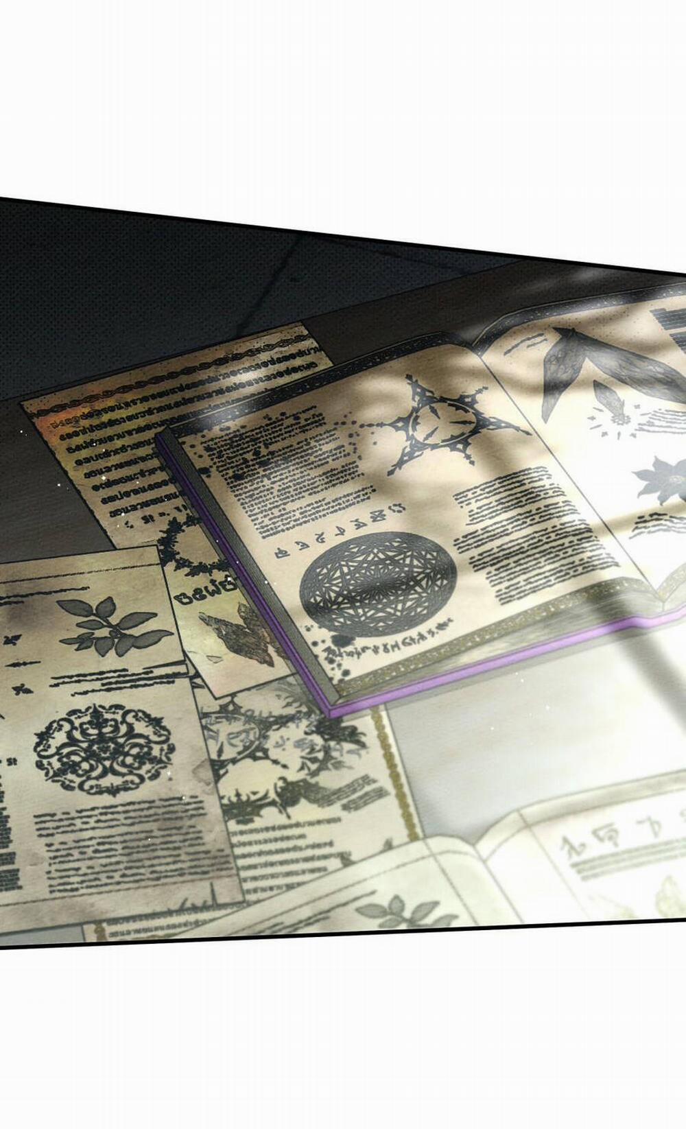 Dưới Bóng Cây Sồi 52.2 trang 1