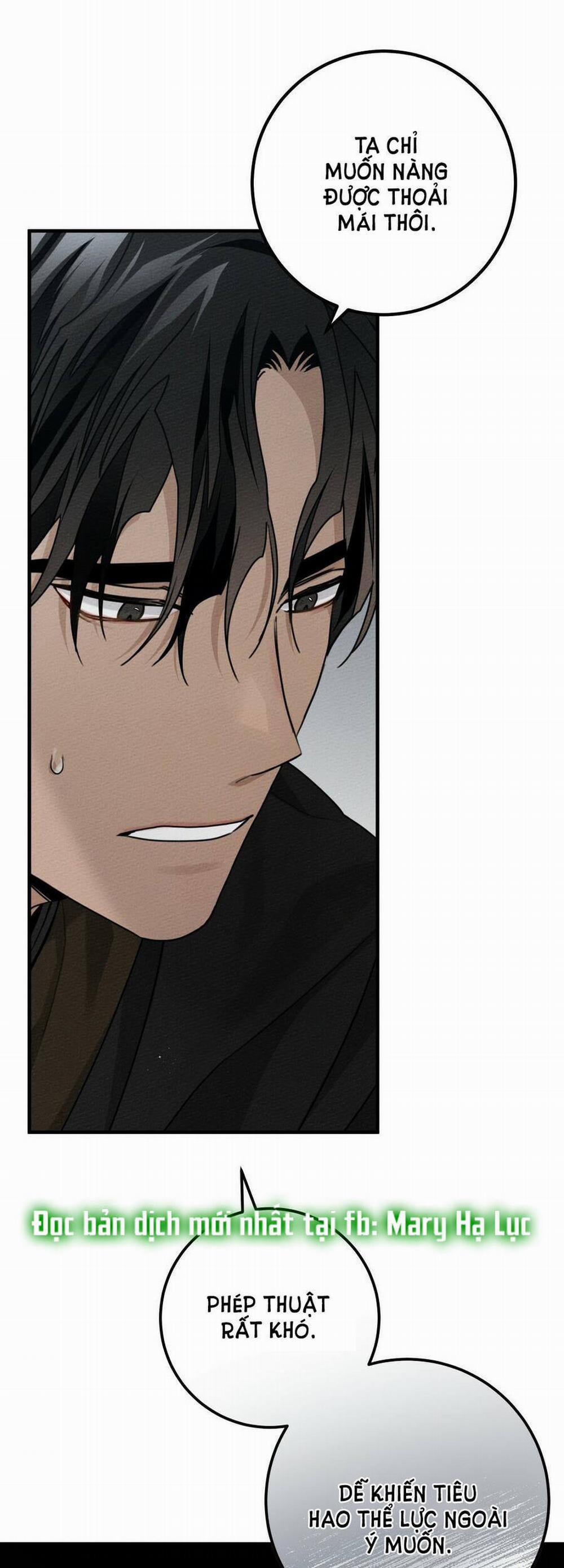 Dưới Bóng Cây Sồi 52.2 trang 24