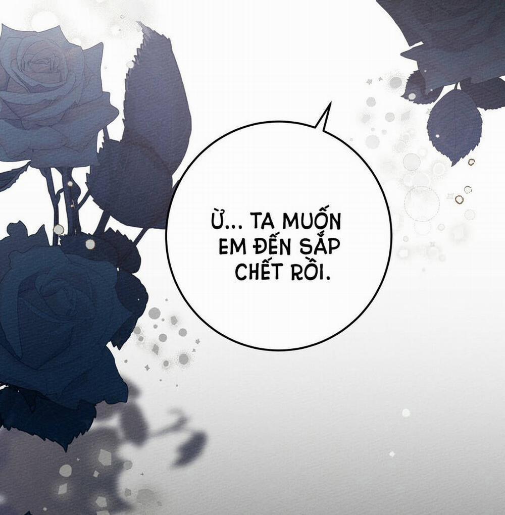 Dưới Bóng Cây Sồi 53.2 trang 4