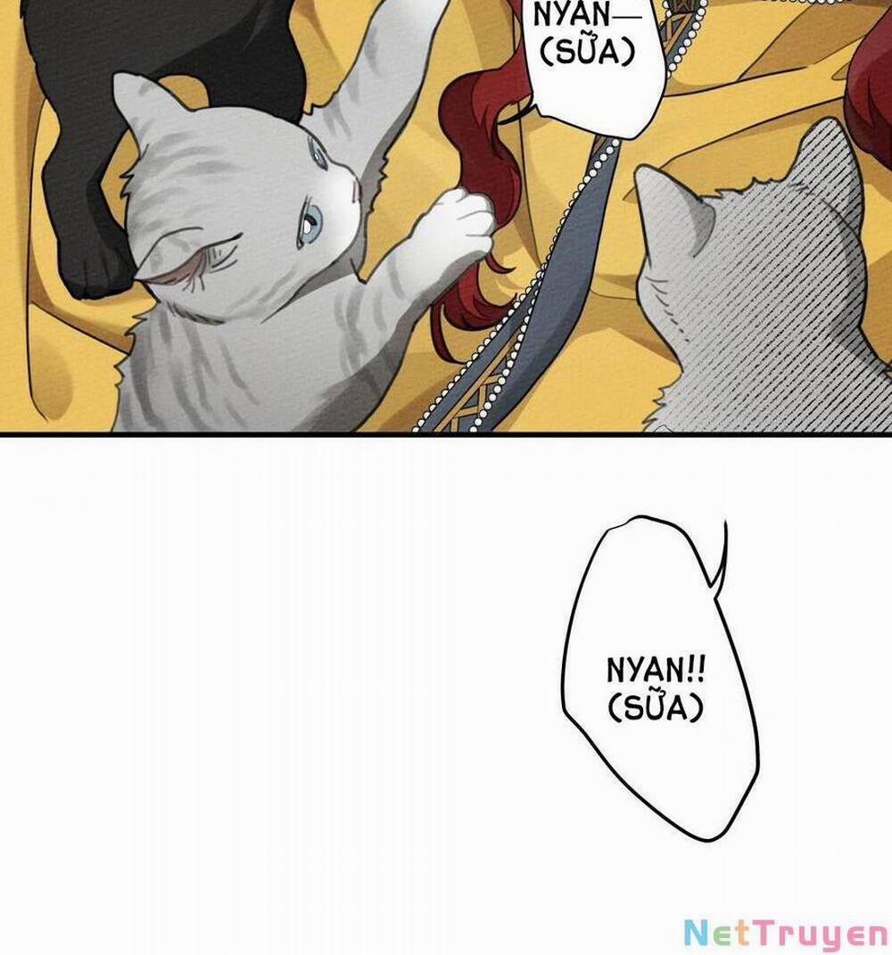 Dưới Bóng Cây Sồi 56.2 trang 42