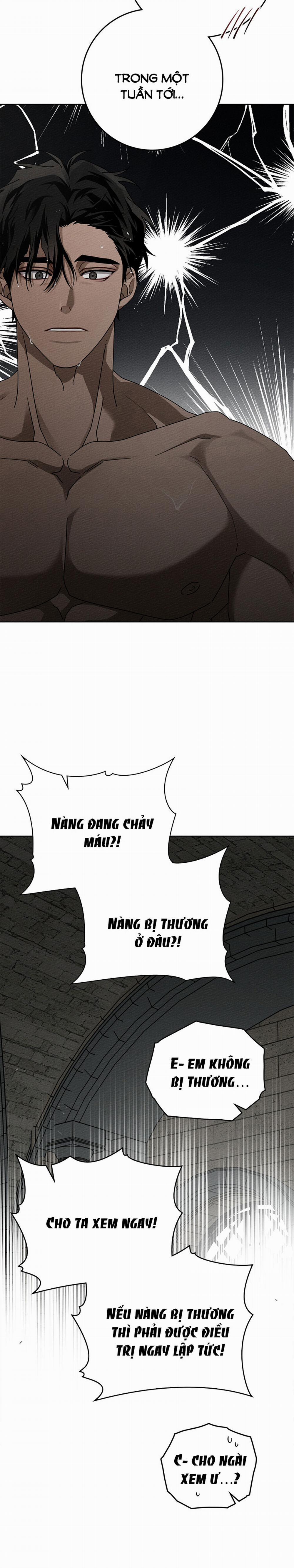 Dưới Bóng Cây Sồi 88.1 trang 8