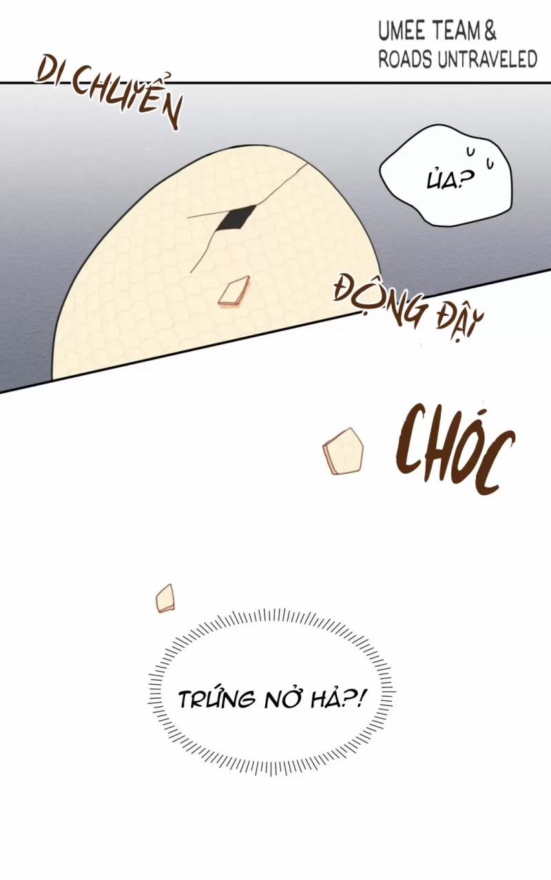 Dưới Tán Hoa Liên Kiều 1.5 trang 11