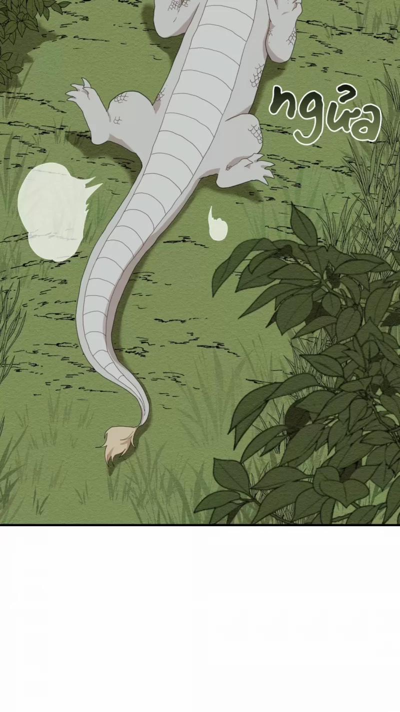 Dưới Tán Hoa Liên Kiều 3 trang 5