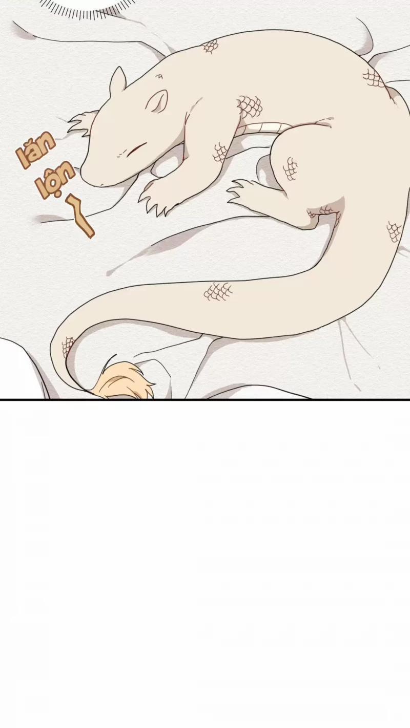 Dưới Tán Hoa Liên Kiều 4.5 trang 15