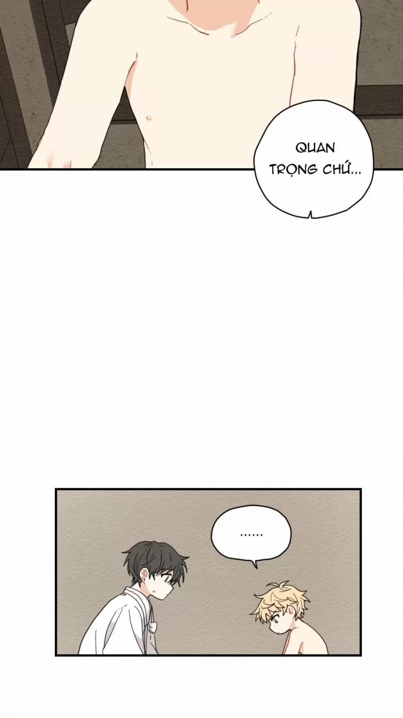 Dưới Tán Hoa Liên Kiều 4.5 trang 30