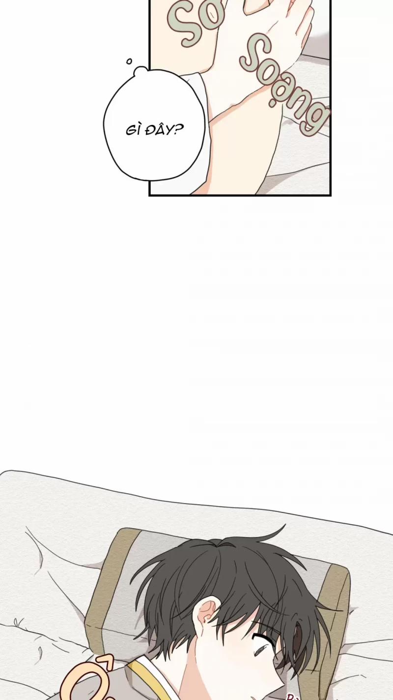 Dưới Tán Hoa Liên Kiều 4 trang 16