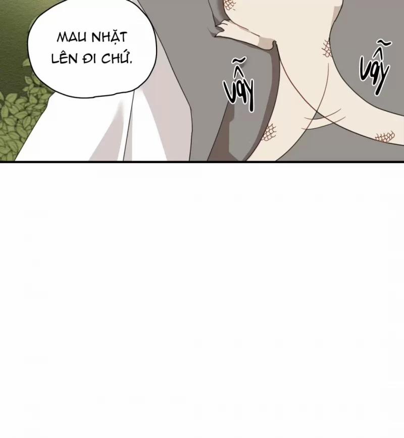 Dưới Tán Hoa Liên Kiều 5.5 trang 11