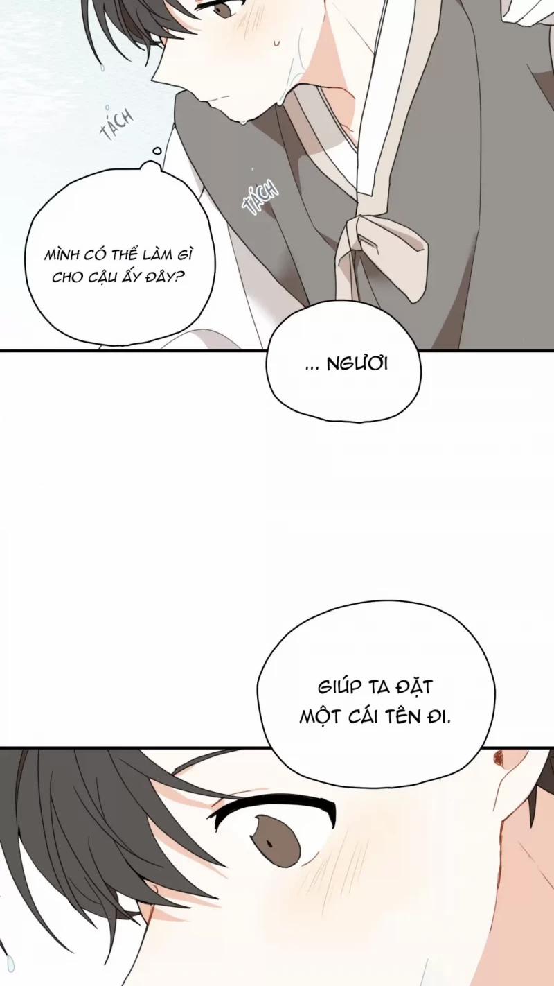 Dưới Tán Hoa Liên Kiều 5 trang 29