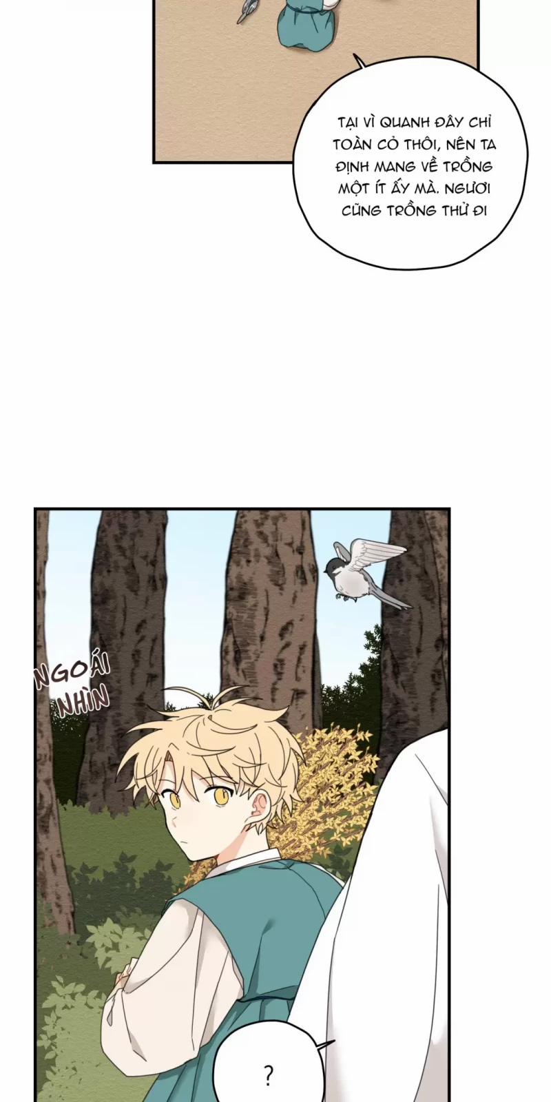 Dưới Tán Hoa Liên Kiều 6 trang 38