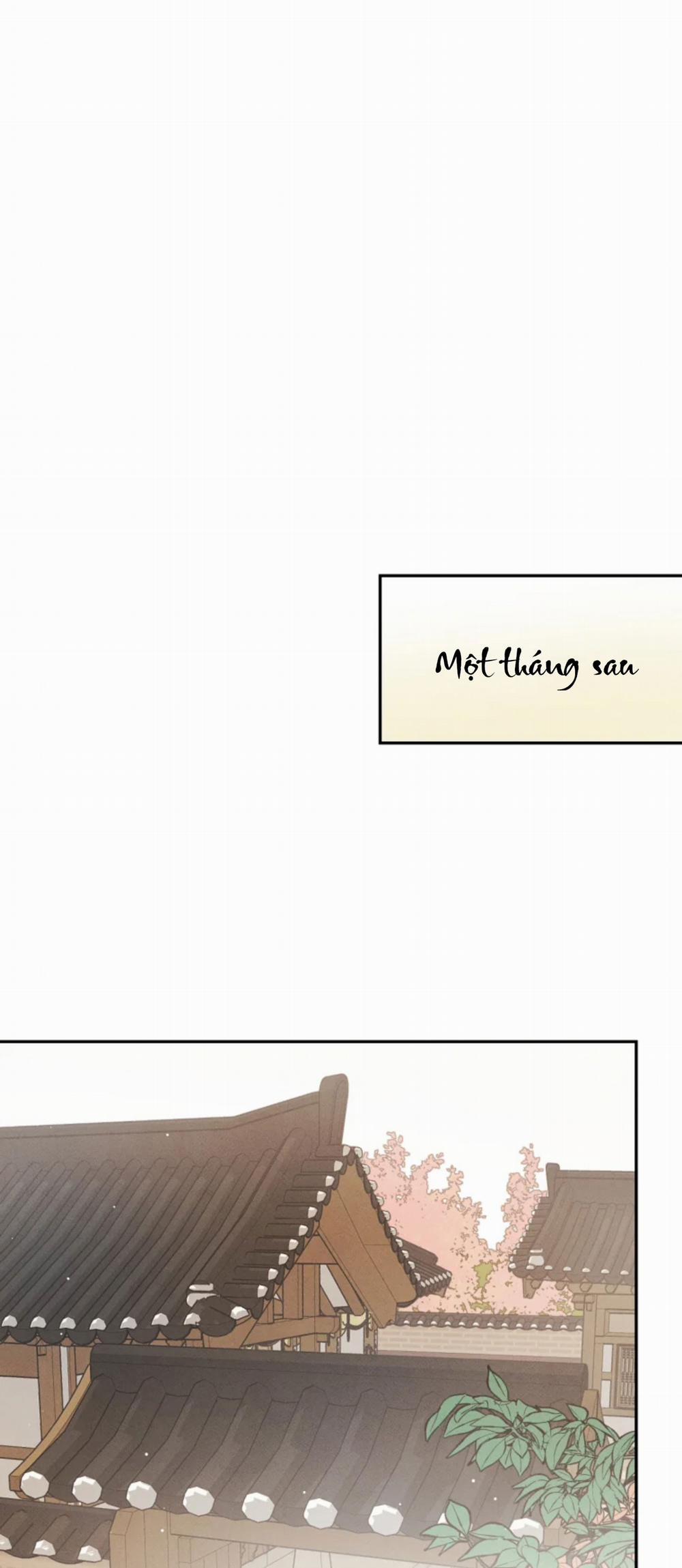 Dưới Tán Hoa Mai 10 trang 51