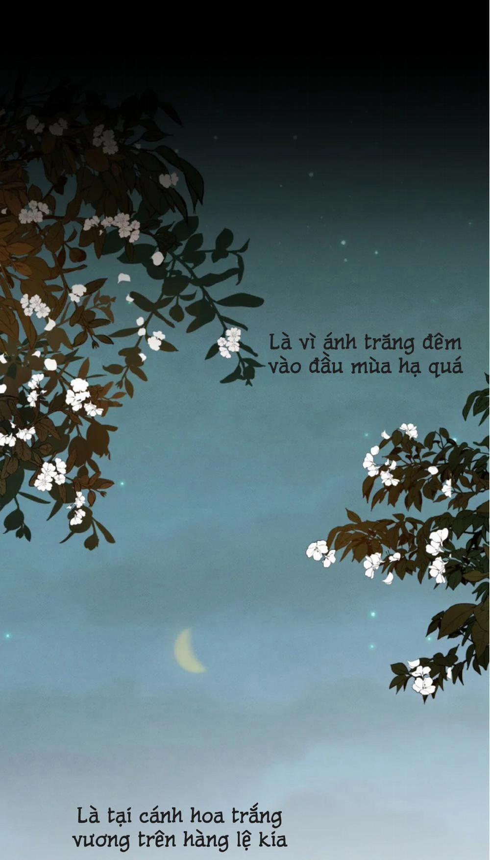 Dưới Tán Hoa Mai 17 trang 20