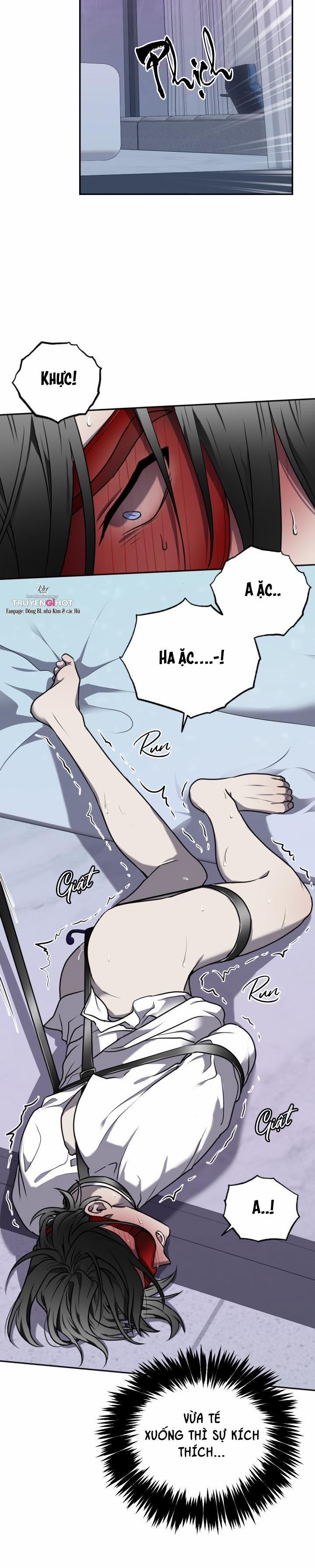 Dưỡng Thú Cưng 14 trang 31