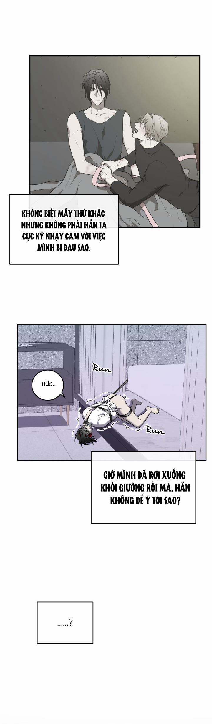 Dưỡng Thú Cưng 14 trang 33