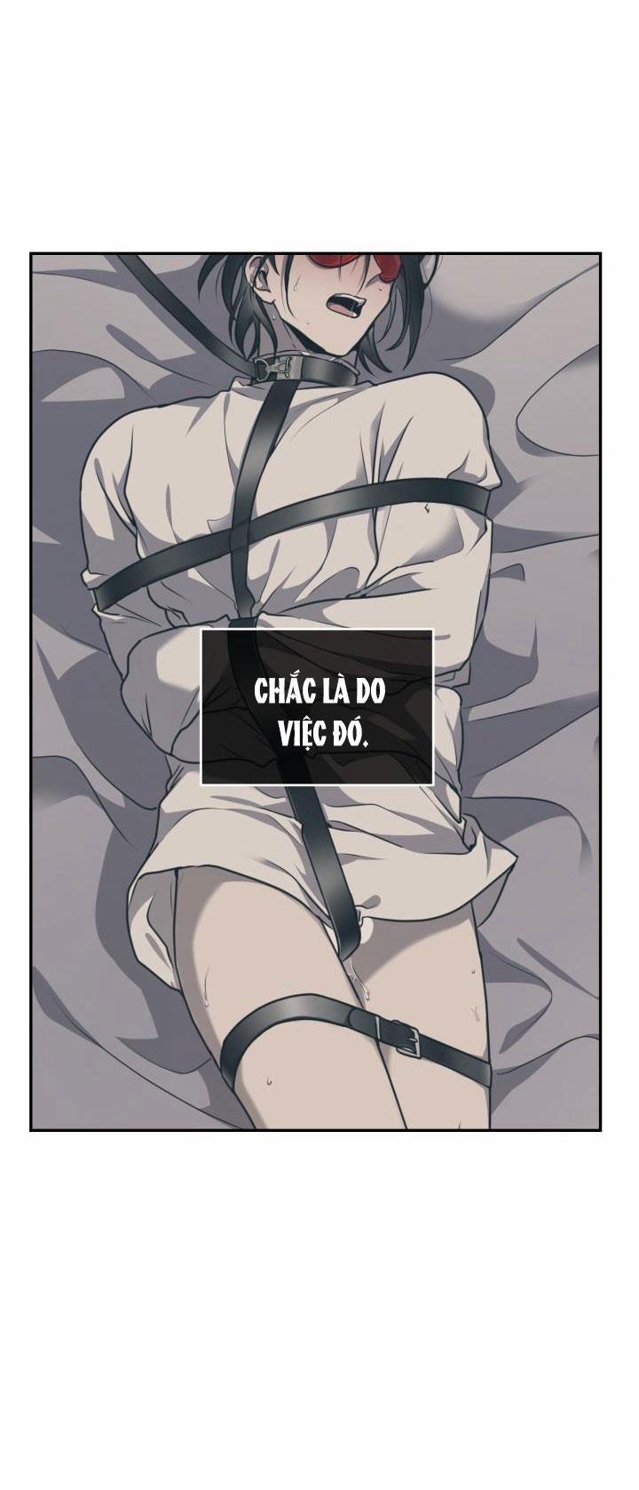 Dưỡng Thú Cưng 16 trang 12