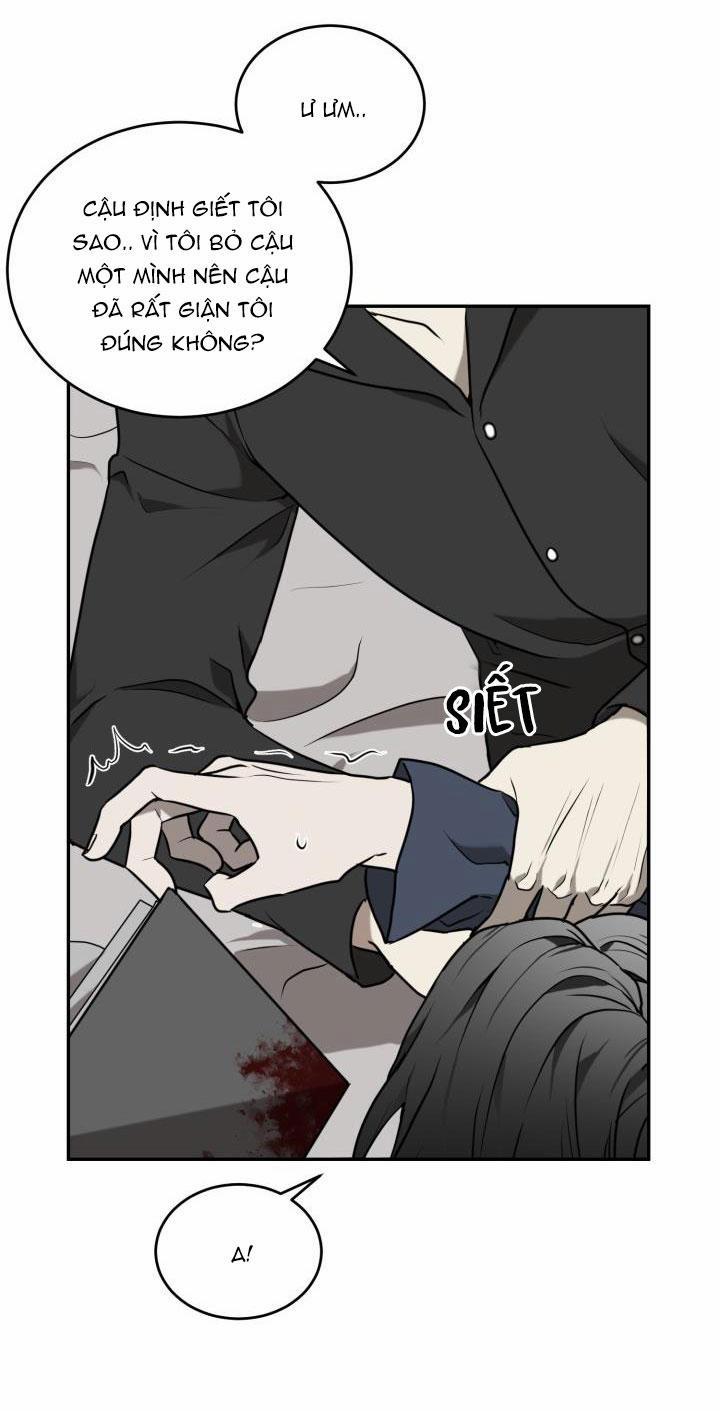 Dưỡng Thú Cưng 16 trang 37