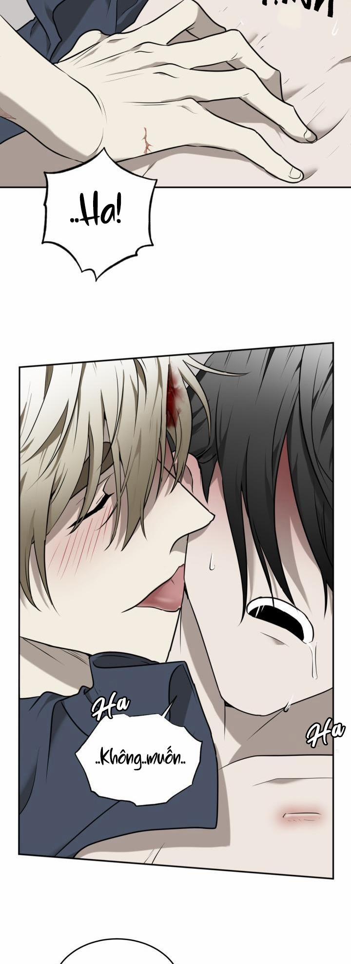 Dưỡng Thú Cưng 18 trang 38