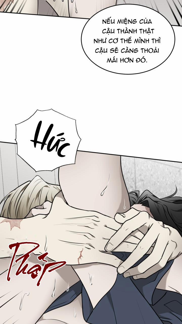 Dưỡng Thú Cưng 18 trang 41