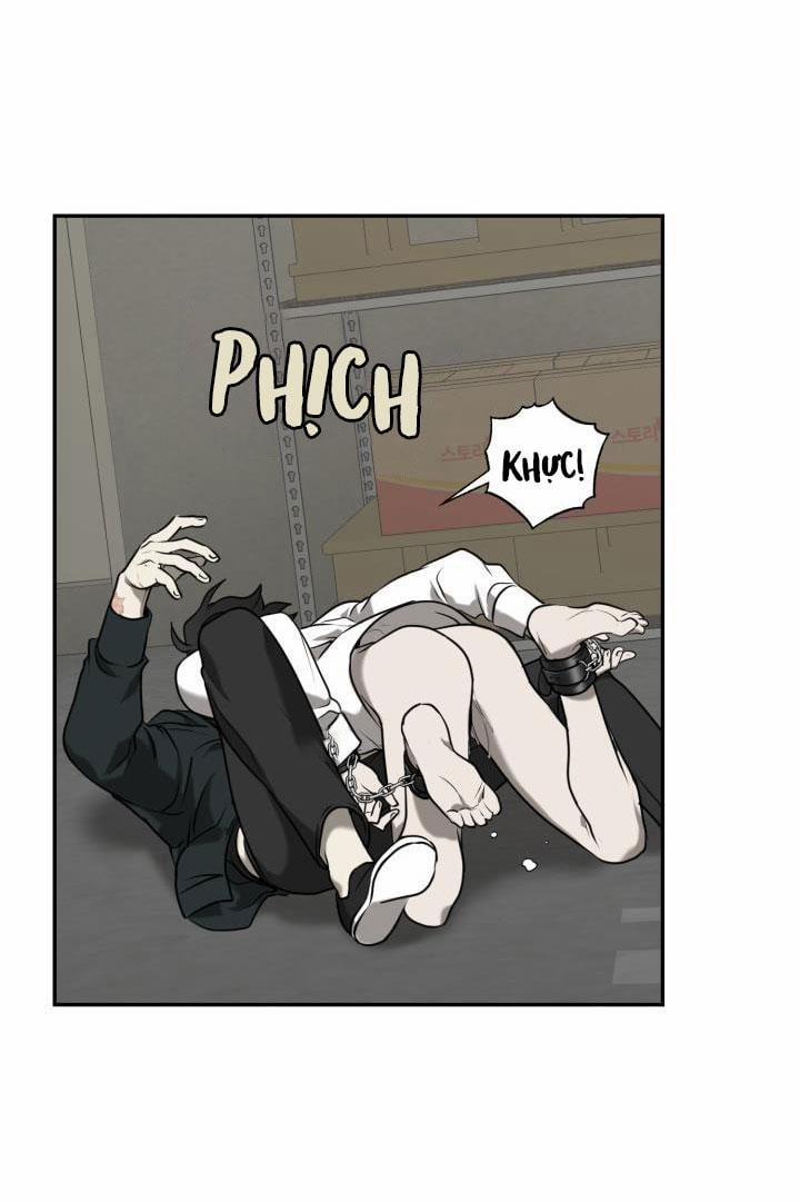 Dưỡng Thú Cưng 2 trang 45