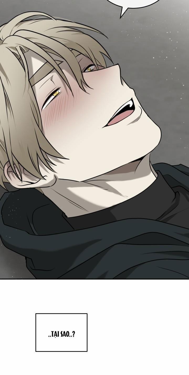 Dưỡng Thú Cưng 2 trang 50