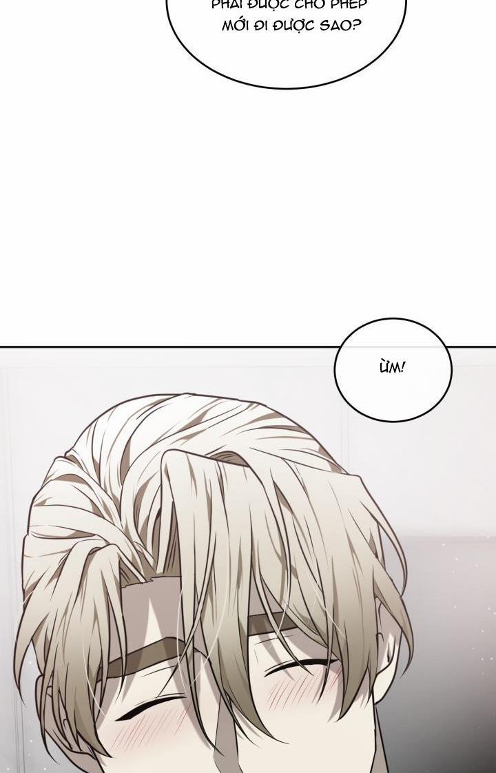Dưỡng Thú Cưng 20 trang 37