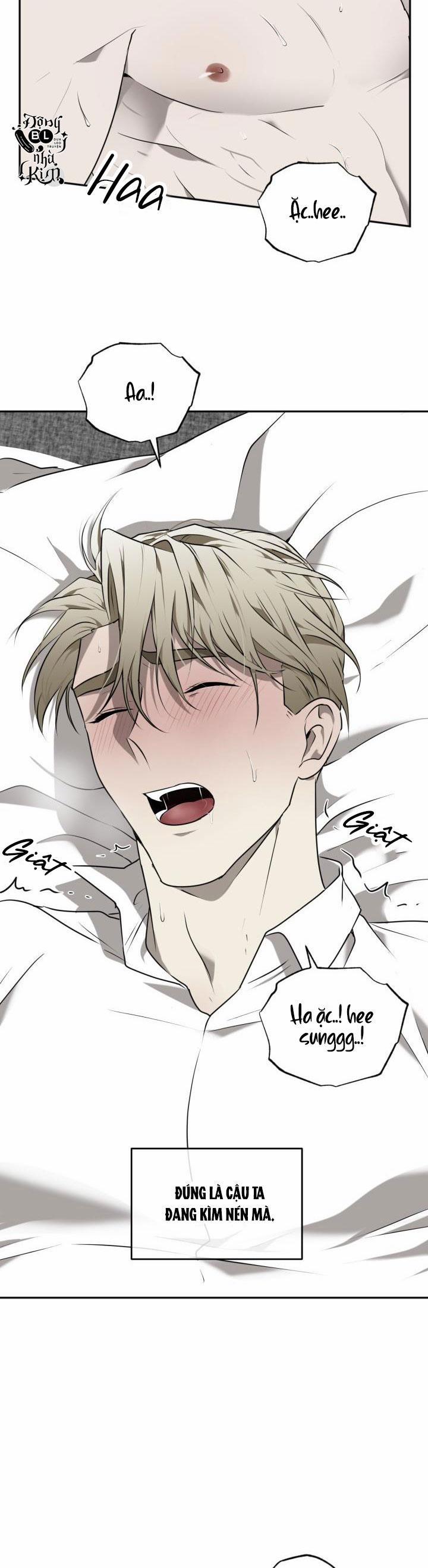 Dưỡng Thú Cưng 25 trang 26