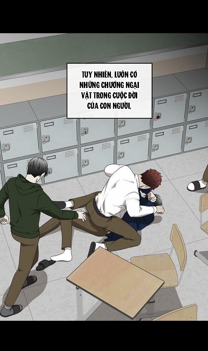 Dưỡng Thú Cưng 28 trang 29