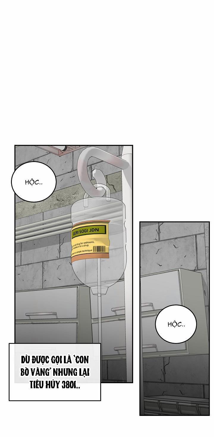 Dưỡng Thú Cưng 28 trang 62