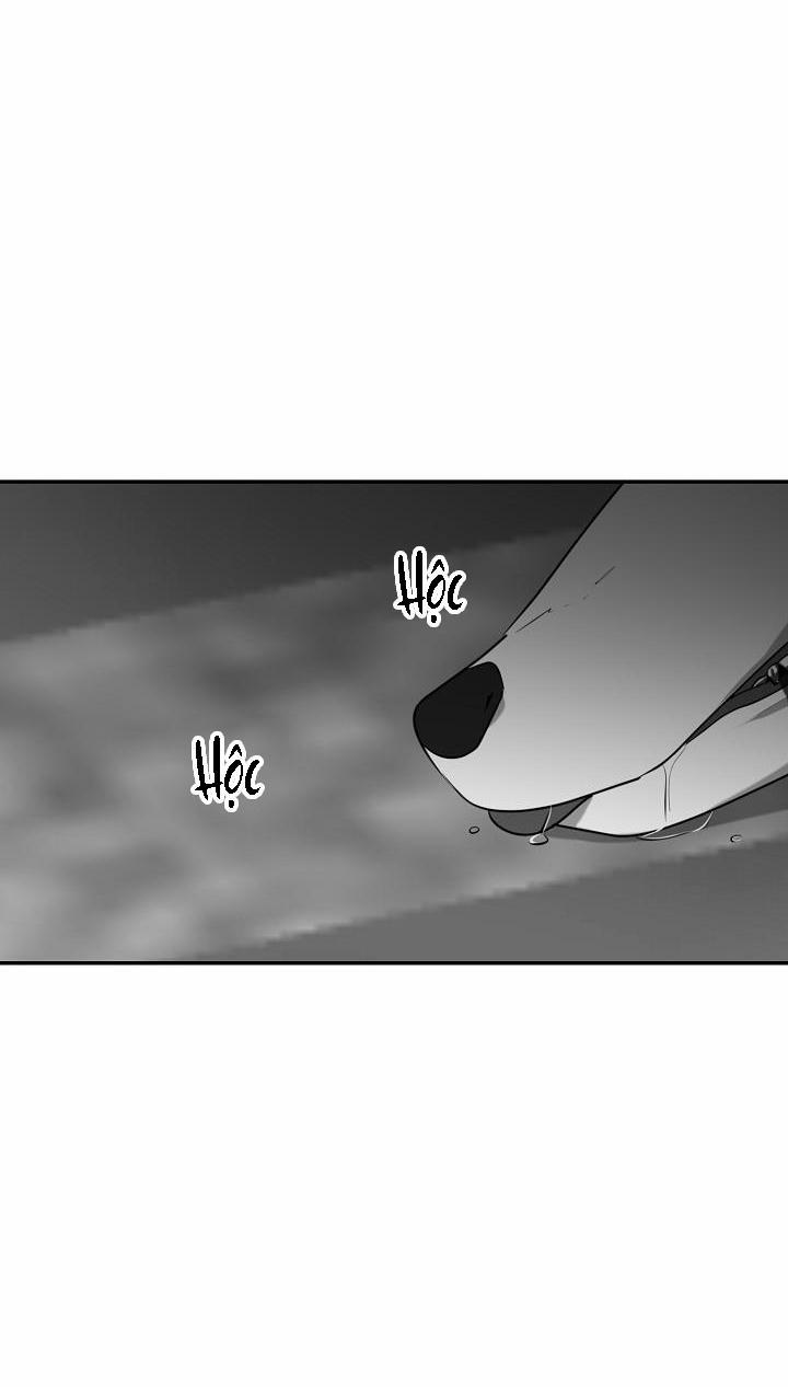 Dưỡng Thú Cưng 28 trang 66