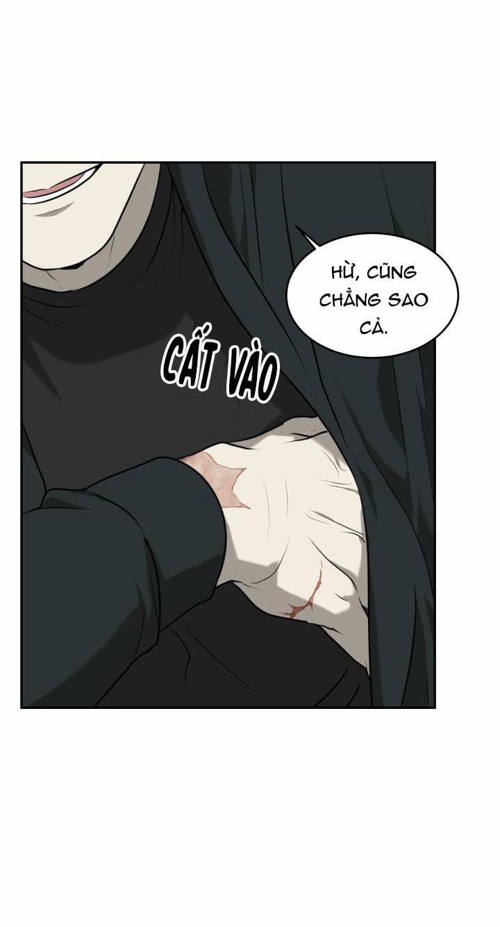 Dưỡng Thú Cưng 3 trang 13