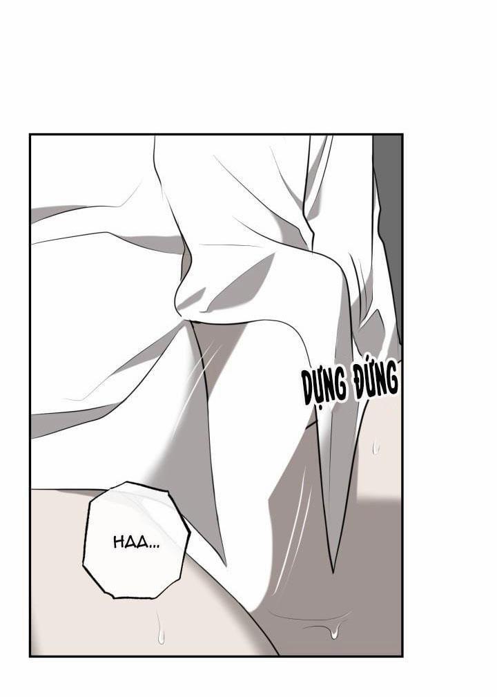 Dưỡng Thú Cưng 3 trang 22