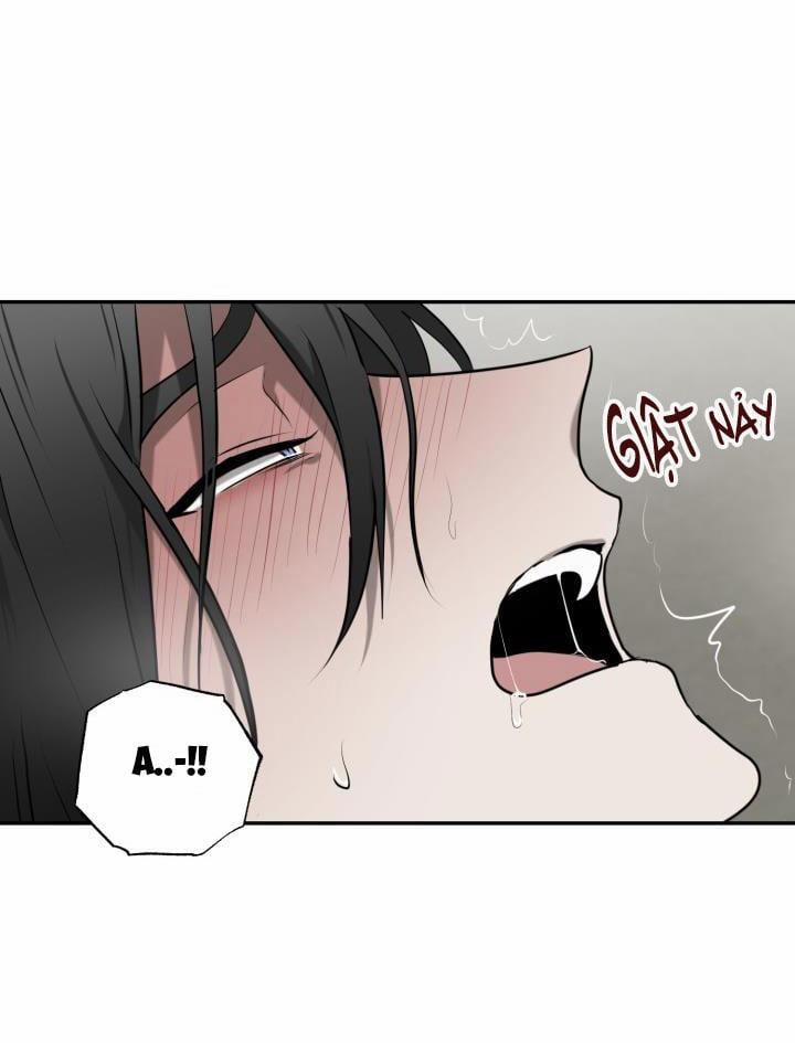 Dưỡng Thú Cưng 3 trang 27