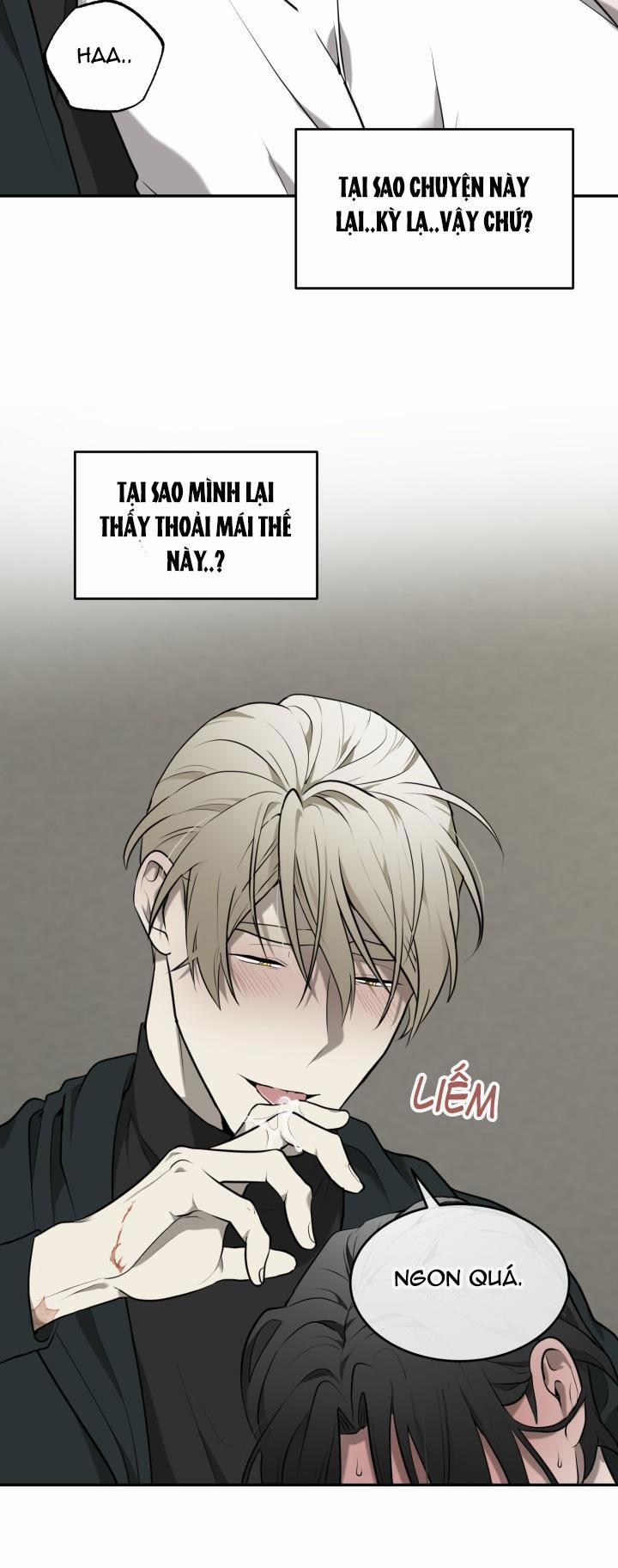 Dưỡng Thú Cưng 3 trang 31