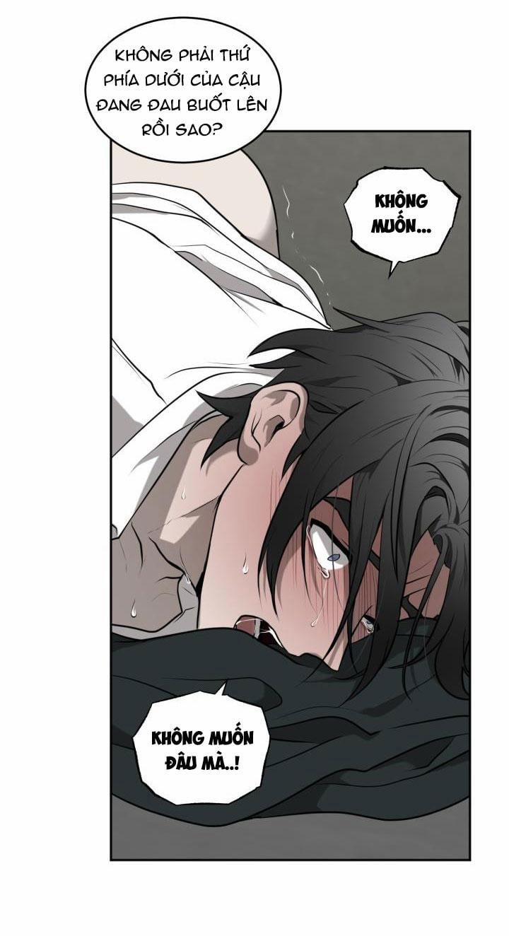 Dưỡng Thú Cưng 3 trang 44