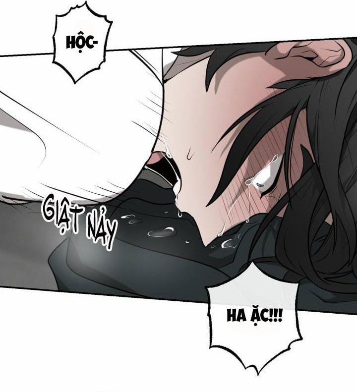 Dưỡng Thú Cưng 3 trang 48