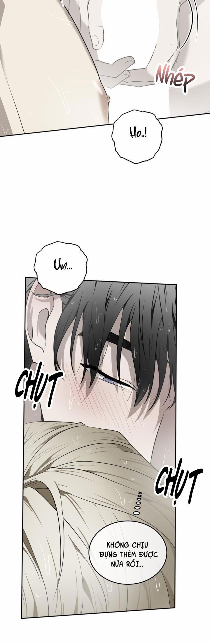 Dưỡng Thú Cưng 33 trang 24