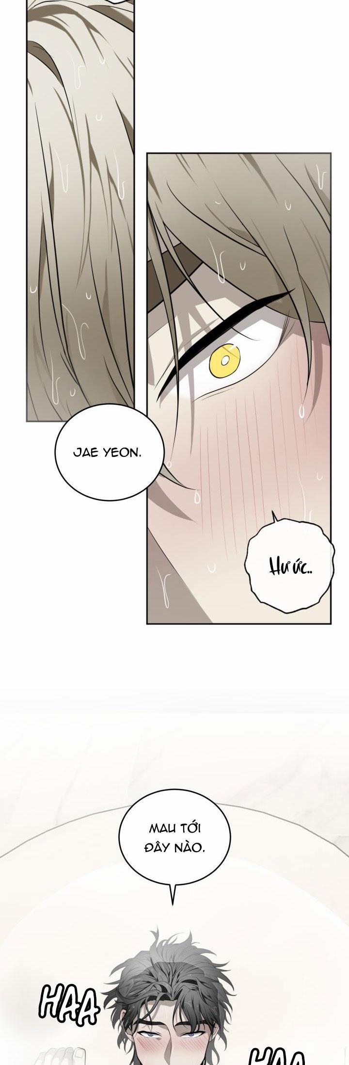 Dưỡng Thú Cưng 33 trang 31