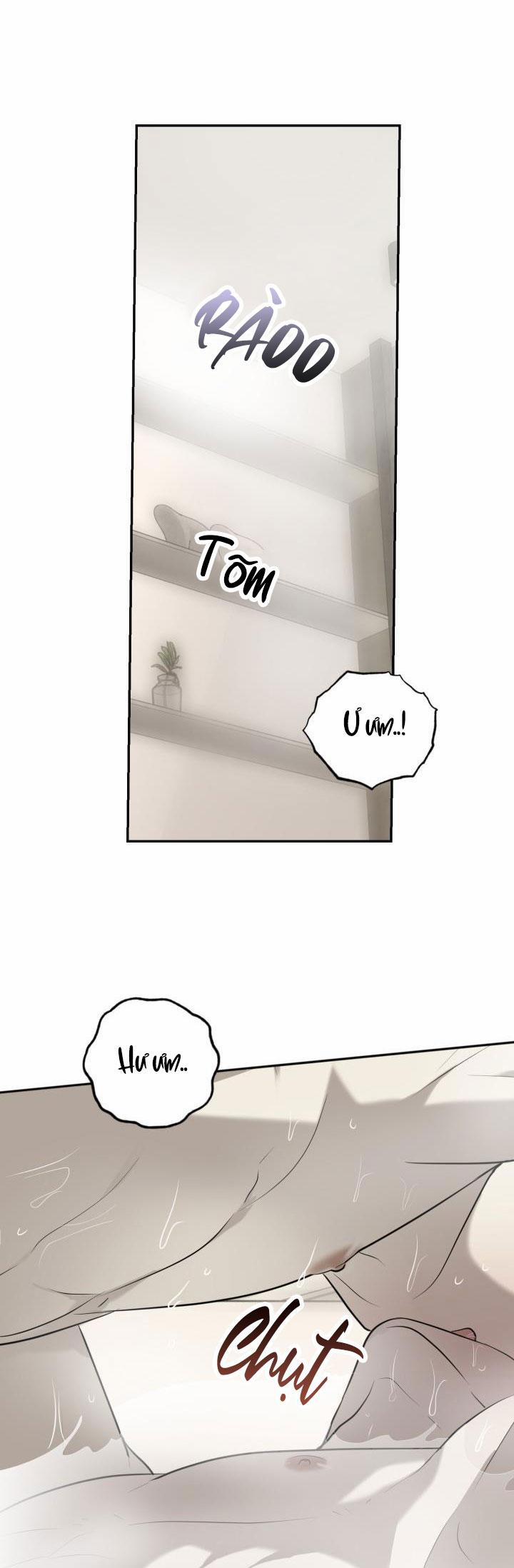 Dưỡng Thú Cưng 33 trang 33