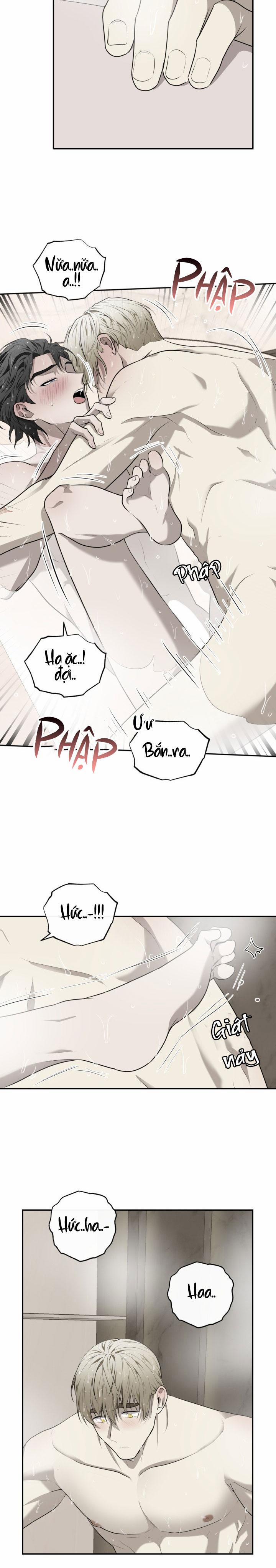 Dưỡng Thú Cưng 34 trang 4