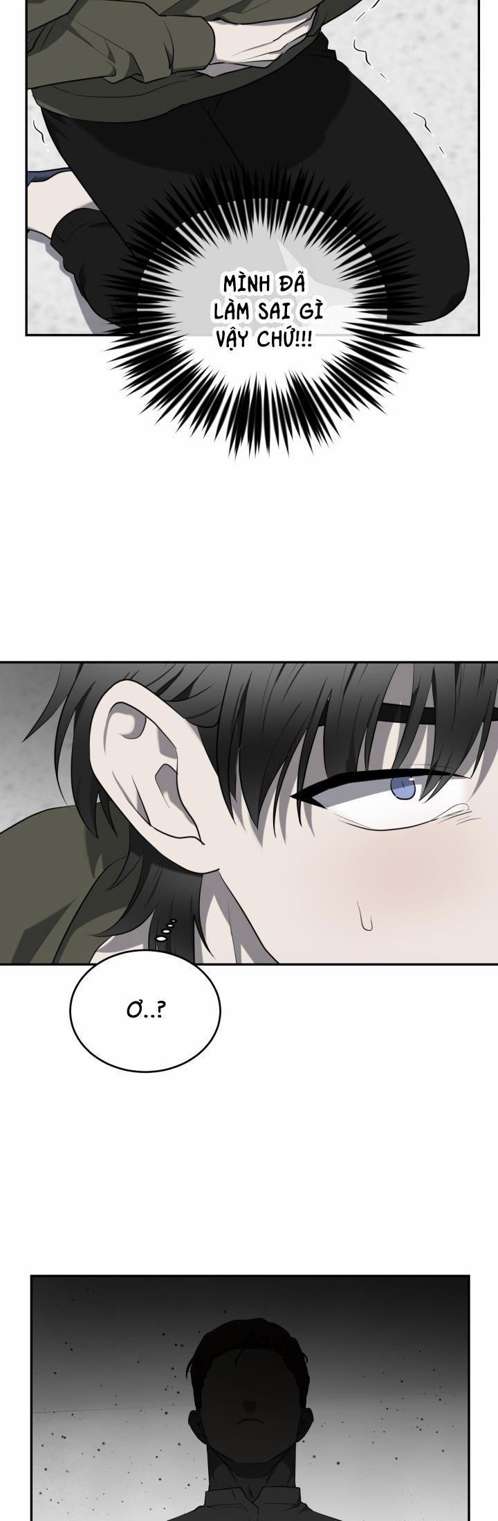 Dưỡng Thú Cưng 36 trang 10