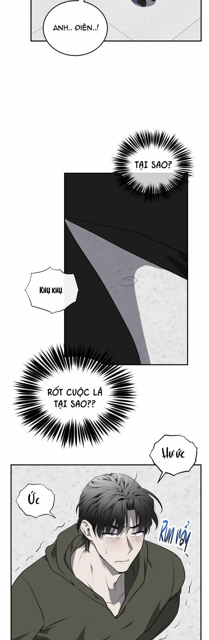 Dưỡng Thú Cưng 36 trang 9