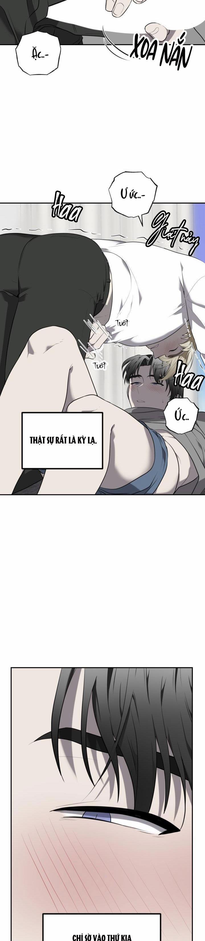 Dưỡng Thú Cưng 38 trang 13