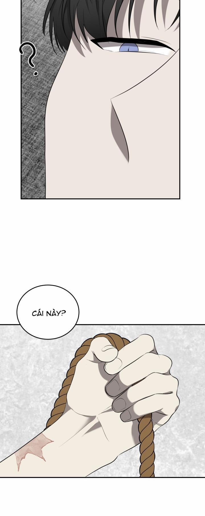 Dưỡng Thú Cưng 38 trang 25