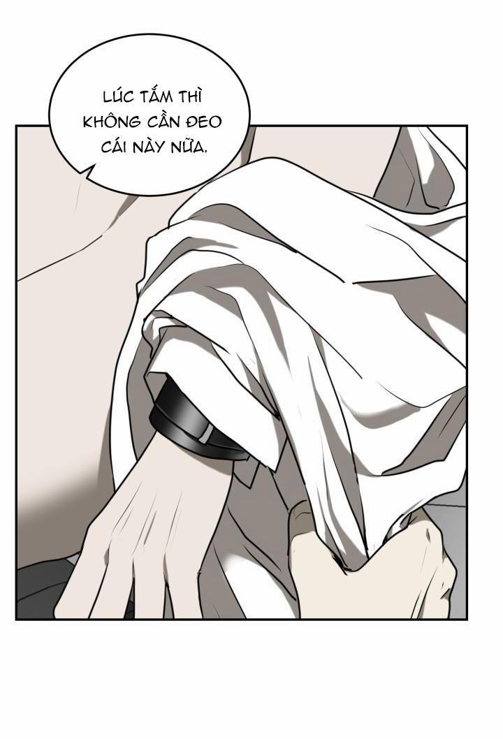 Dưỡng Thú Cưng 4 trang 25