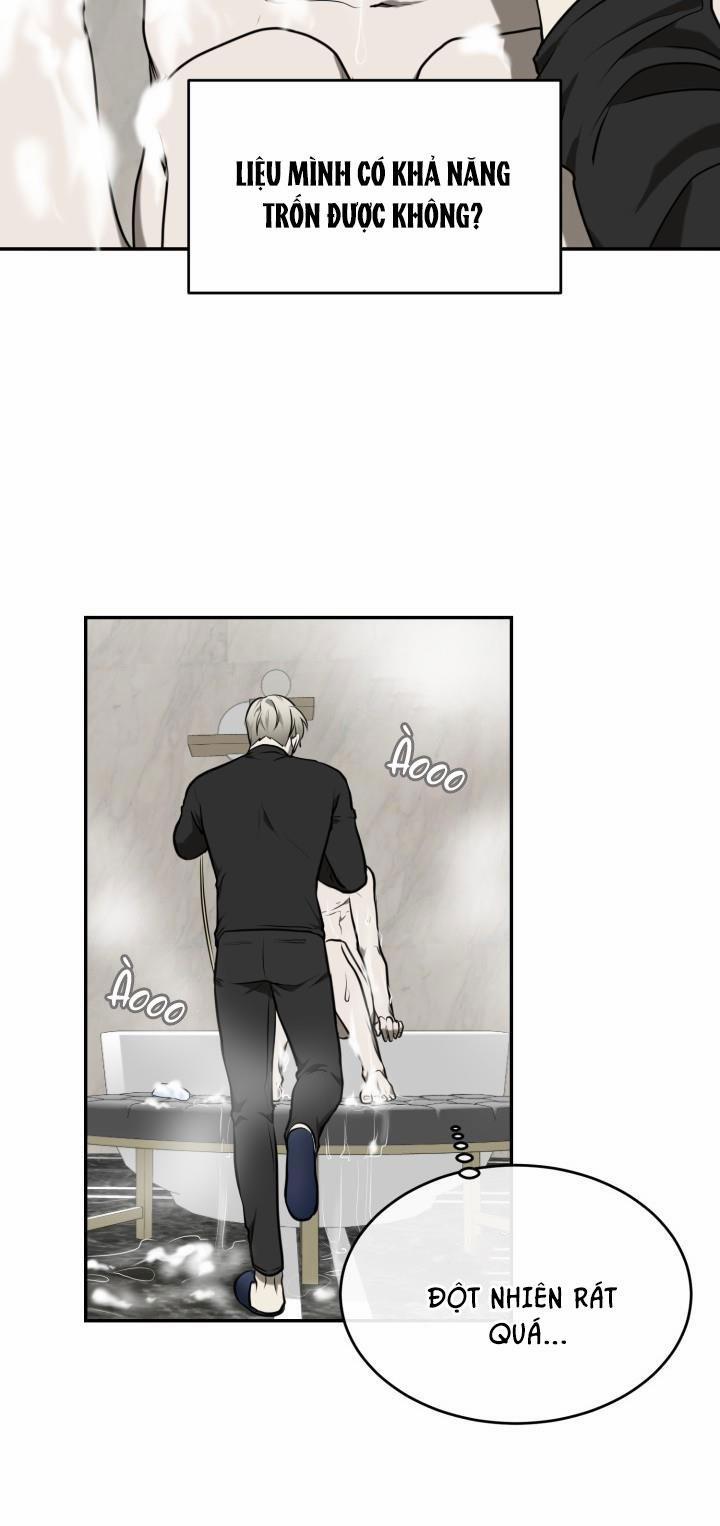 Dưỡng Thú Cưng 4 trang 34