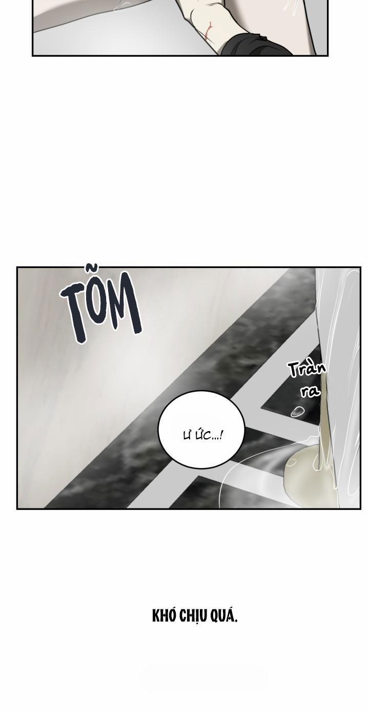 Dưỡng Thú Cưng 4 trang 39
