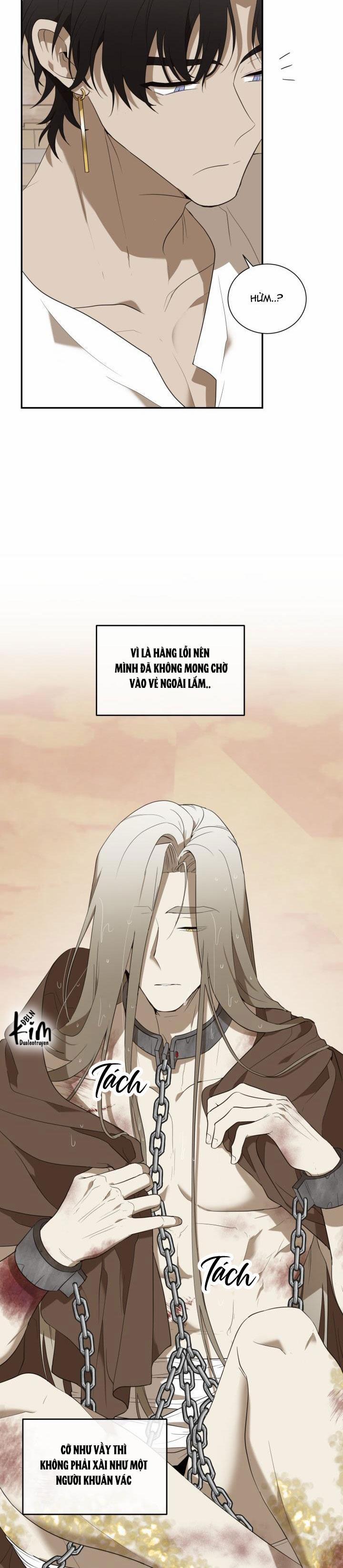 Dưỡng Thú Cưng 49 trang 17