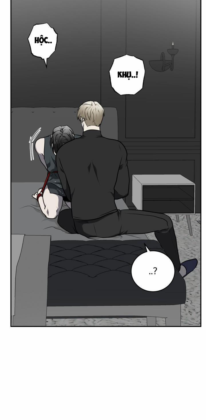 Dưỡng Thú Cưng 5 trang 30